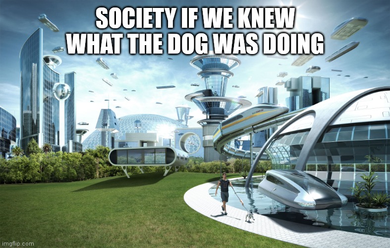 Futuristic Utopia | SOCIETY IF WE KNEW WHAT THE DOG WAS DOING | image tagged in futuristic utopia | made w/ Imgflip meme maker