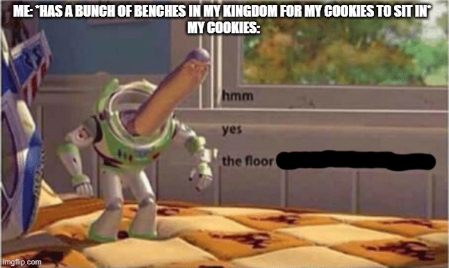 hmm yes the floor here is made out of floor | ME: *HAS A BUNCH OF BENCHES IN MY KINGDOM FOR MY COOKIES TO SIT IN* 
MY COOKIES: | image tagged in hmm yes the floor here is made out of floor | made w/ Imgflip meme maker