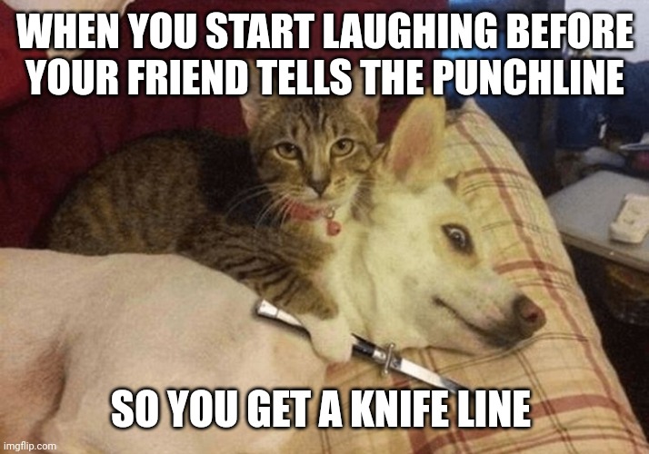 Well his fault | WHEN YOU START LAUGHING BEFORE YOUR FRIEND TELLS THE PUNCHLINE; SO YOU GET A KNIFELINE | image tagged in grumpy cat | made w/ Imgflip meme maker