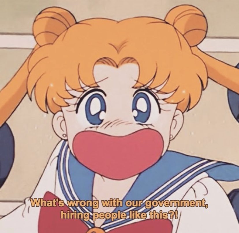 Sailor Moon what’s wrong with our government Blank Meme Template