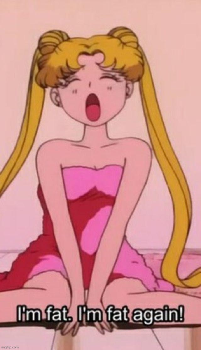 Sailor Moon I’m fat | image tagged in sailor moon i m fat | made w/ Imgflip meme maker