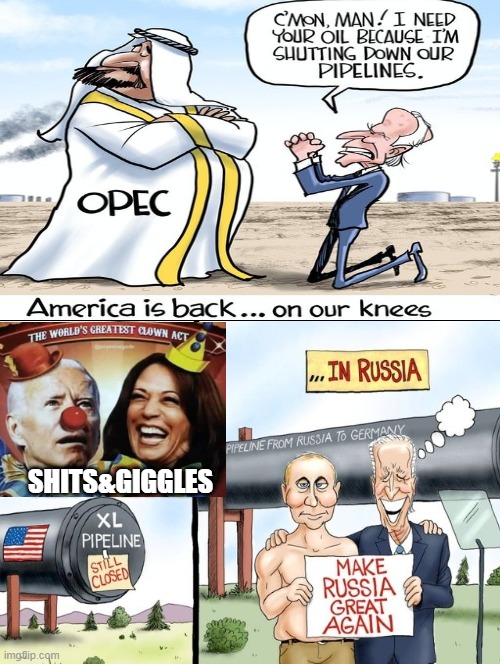 Shits and Giggles Clown Show! Begging for Oil! | SHITS&GIGGLES | image tagged in stupid liberals,morons,idiots,biden | made w/ Imgflip meme maker