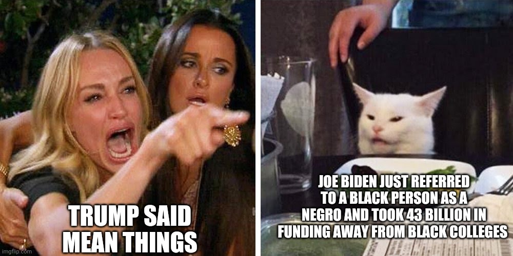 Liberals | JOE BIDEN JUST REFERRED TO A BLACK PERSON AS A NEGRO AND TOOK 43 BILLION IN FUNDING AWAY FROM BLACK COLLEGES; TRUMP SAID MEAN THINGS | image tagged in smudge the cat,democrats,joe biden,biden,trump,racist | made w/ Imgflip meme maker