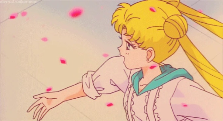 Sailor Moon Cherry blossoms Blank Meme Template