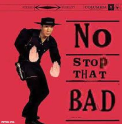 NO STOP THAT BAD | image tagged in no stop that bad | made w/ Imgflip meme maker
