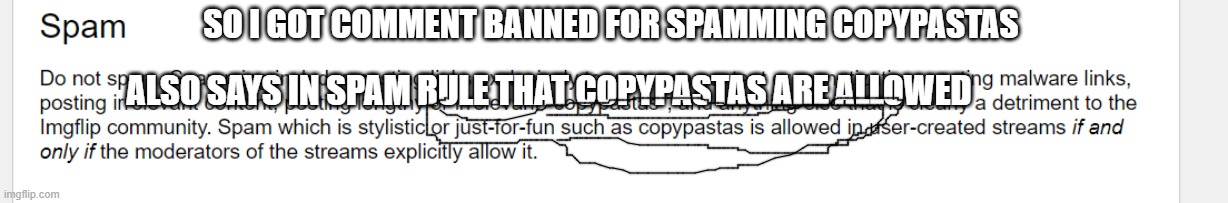 h m m m | SO I GOT COMMENT BANNED FOR SPAMMING COPYPASTAS; ALSO SAYS IN SPAM RULE THAT COPYPASTAS ARE ALLOWED | made w/ Imgflip meme maker