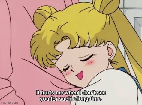 Sailor Moon It hurts me when I don’t see you for such long time | image tagged in sailor moon it hurts me when i don t see you for such long time | made w/ Imgflip meme maker