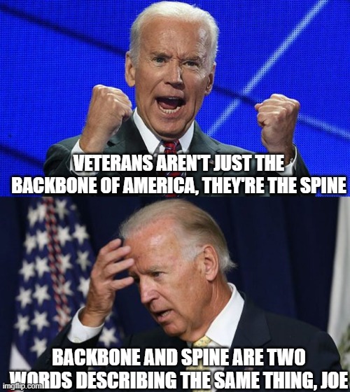 Come on, man! | VETERANS AREN'T JUST THE BACKBONE OF AMERICA, THEY'RE THE SPINE; BACKBONE AND SPINE ARE TWO WORDS DESCRIBING THE SAME THING, JOE | image tagged in joe biden fists angry,joe biden worries,joe biden,biden,sad joe biden | made w/ Imgflip meme maker