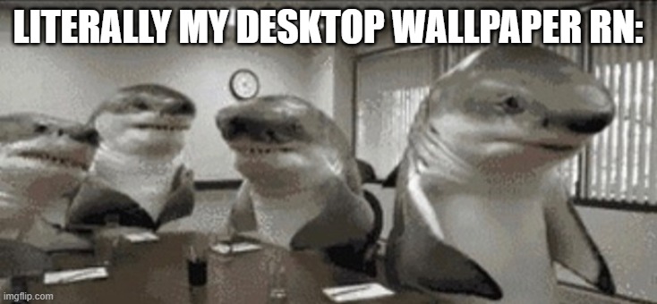 sharks | LITERALLY MY DESKTOP WALLPAPER RN: | image tagged in sharks | made w/ Imgflip meme maker