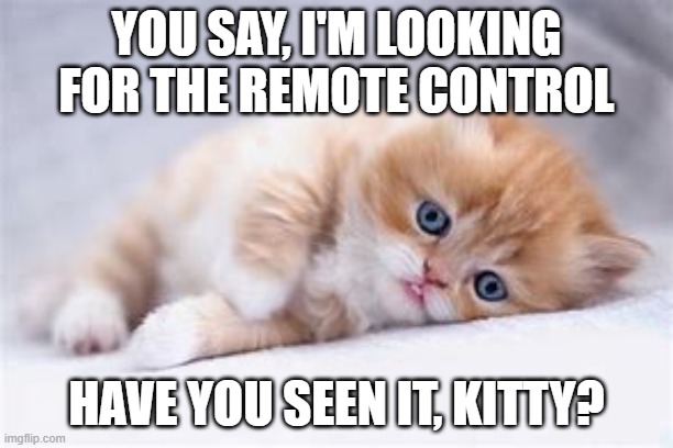  YOU SAY, I'M LOOKING FOR THE REMOTE CONTROL; HAVE YOU SEEN IT, KITTY? | image tagged in cats,kittens,love,pets | made w/ Imgflip meme maker