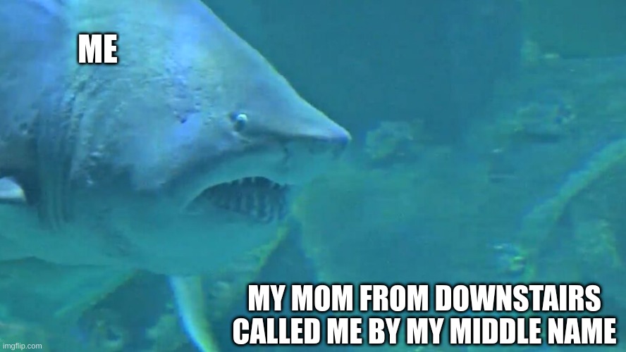 does dis happen a lot 2 u | ME; MY MOM FROM DOWNSTAIRS CALLED ME BY MY MIDDLE NAME | image tagged in fun,sharks | made w/ Imgflip meme maker