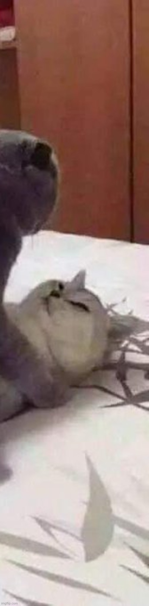 sauce? | made w/ Imgflip meme maker