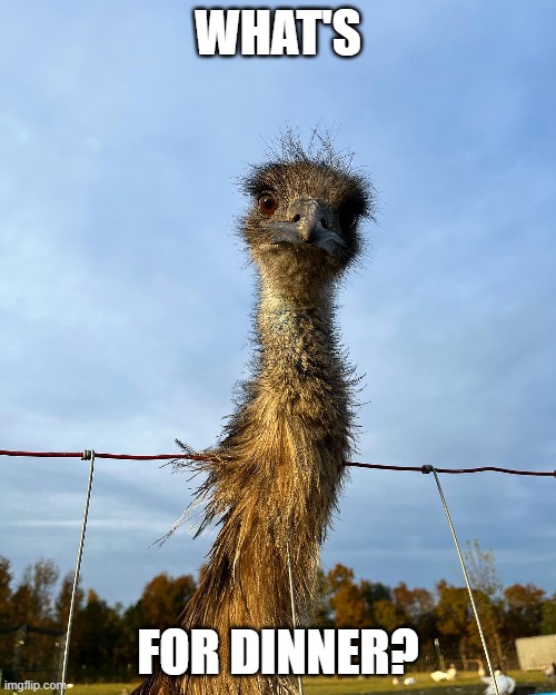 WHAT'S; FOR DINNER? | made w/ Imgflip meme maker