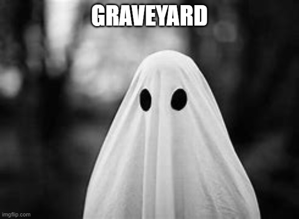 GRAVEYARD | image tagged in ghost,haunted,graveyard | made w/ Imgflip meme maker