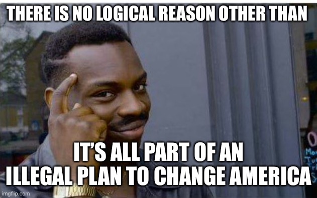 Logic thinker | THERE IS NO LOGICAL REASON OTHER THAN IT’S ALL PART OF AN ILLEGAL PLAN TO CHANGE AMERICA | image tagged in logic thinker | made w/ Imgflip meme maker