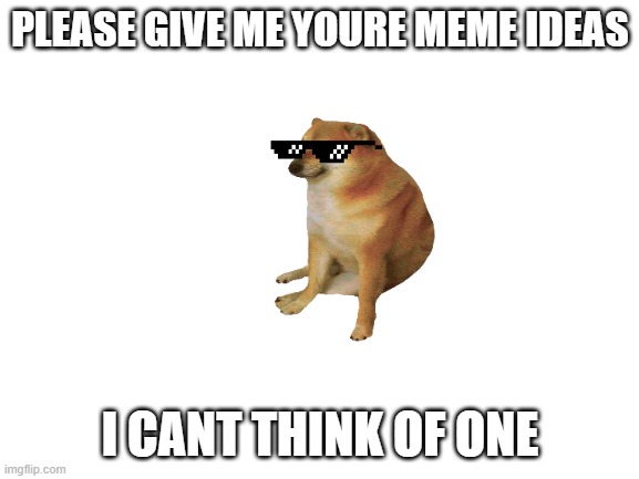 please give me meme ideas | PLEASE GIVE ME YOURE MEME IDEAS; I CANT THINK OF ONE | image tagged in blank white template | made w/ Imgflip meme maker
