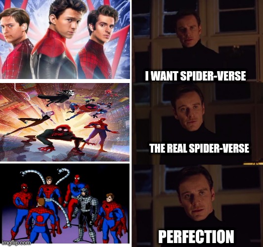 I want Spider-Verse |  I WANT SPIDER-VERSE; THE REAL SPIDER-VERSE; PERFECTION | image tagged in perfection,spiderman,spider-verse meme | made w/ Imgflip meme maker