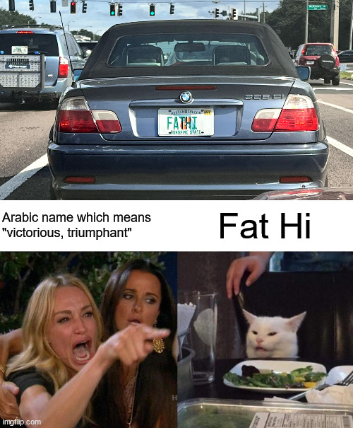 Saw this in traffic today, couldn't resist | Fat Hi; Arabic name which means "victorious, triumphant" | image tagged in memes,woman yelling at cat | made w/ Imgflip meme maker