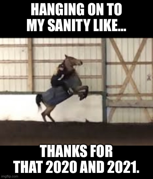 Hang On | HANGING ON TO MY SANITY LIKE…; THANKS FOR THAT 2020 AND 2021. | image tagged in hang on,hold on | made w/ Imgflip meme maker