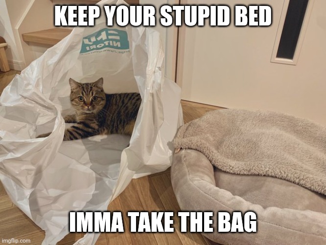 KITTY LIKES THE BAG | KEEP YOUR STUPID BED; IMMA TAKE THE BAG | image tagged in cats,funny cats | made w/ Imgflip meme maker