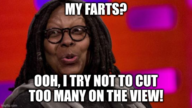 MY FARTS? OOH, I TRY NOT TO CUT
TOO MANY ON THE VIEW! | made w/ Imgflip meme maker