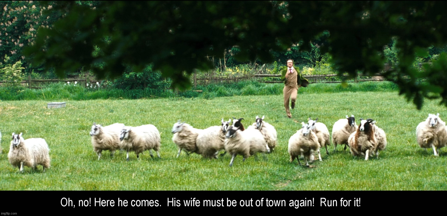 When the Cat's Away, the Spouse Will Play | image tagged in sheep | made w/ Imgflip meme maker