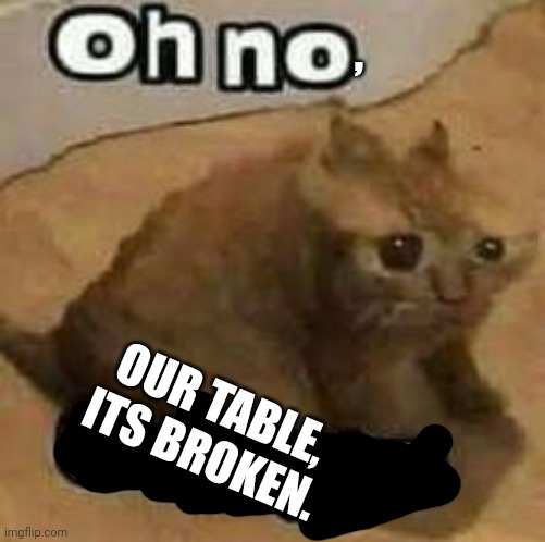 oH nO cRInGe | , OUR TABLE, ITS BROKEN. | image tagged in oh no cringe | made w/ Imgflip meme maker