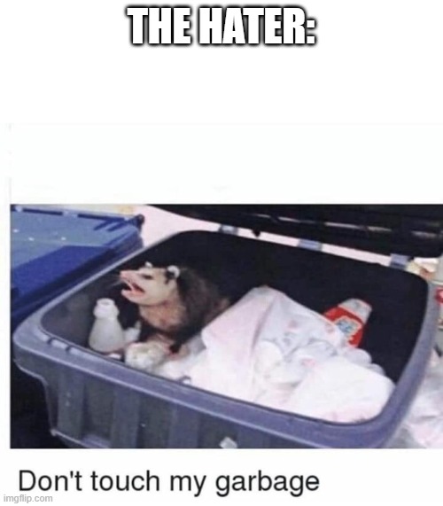 Don't touch my garbage | THE HATER: | image tagged in don't touch my garbage | made w/ Imgflip meme maker