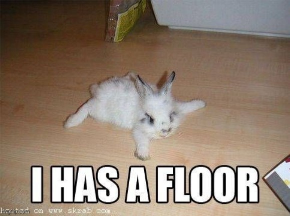 MY FLOOR | image tagged in floor,mine,bunny | made w/ Imgflip meme maker