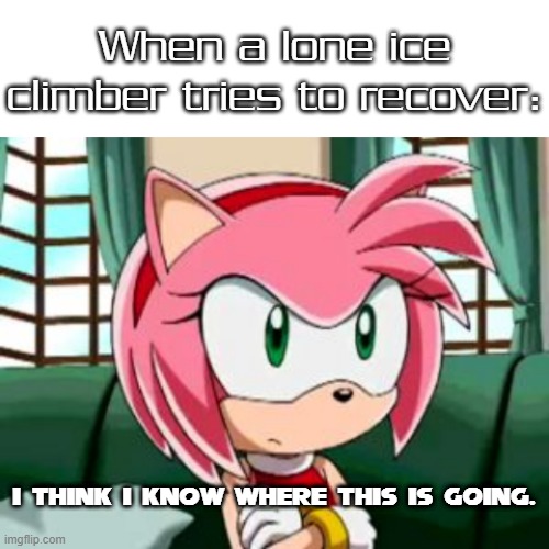 Amy is not surprised at a lone ice climber trying to recover | When a lone ice climber tries to recover:; I think I know where this is going. | image tagged in unamused amy rose,memes | made w/ Imgflip meme maker