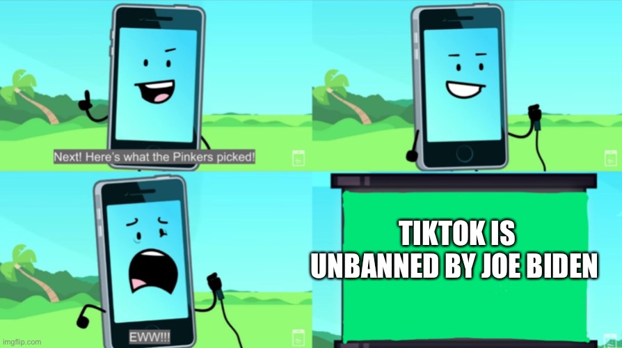 tiktok is literal shit tho ngl | TIKTOK IS UNBANNED BY JOE BIDEN | image tagged in mephone disgusted,why are you reading this,memes,funny,politics,joe biden | made w/ Imgflip meme maker