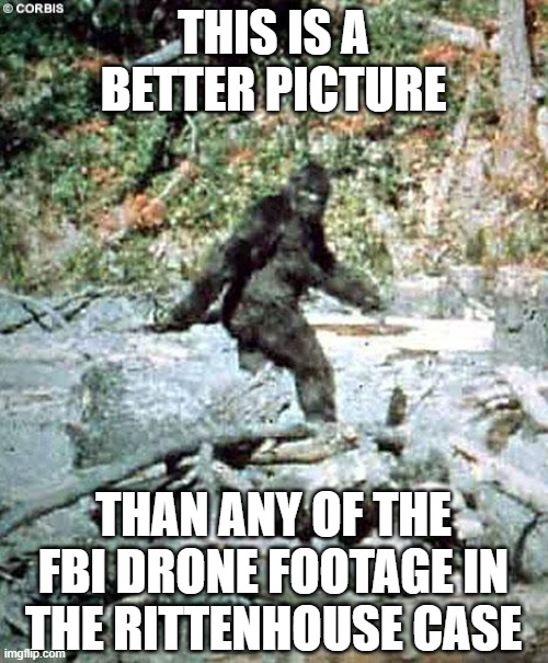 Unicorn drone footage in Rittenhouse trial | THIS IS A BETTER PICTURE; THAN ANY OF THE FBI DRONE FOOTAGE IN THE RITTENHOUSE CASE | image tagged in bigfoot | made w/ Imgflip meme maker