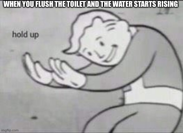Fallout Hold Up | WHEN YOU FLUSH THE TOILET AND THE WATER STARTS RISING | image tagged in fallout hold up | made w/ Imgflip meme maker