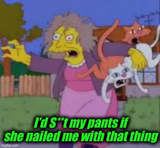 Crazy cat lady | I’d S**t my pants if she nailed me with that thing | image tagged in crazy cat lady | made w/ Imgflip meme maker