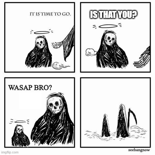 Wasap bro? |  IS THAT YOU? WASAP BRO? | image tagged in it is time to go,memes,was i a good meme,skeleton,inception,wholesome | made w/ Imgflip meme maker