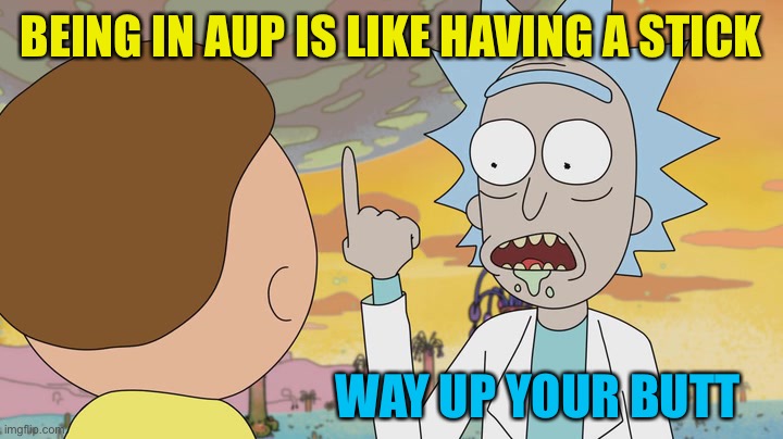 Rick Morty Way Up | BEING IN AUP IS LIKE HAVING A STICK WAY UP YOUR BUTT | image tagged in rick morty way up | made w/ Imgflip meme maker