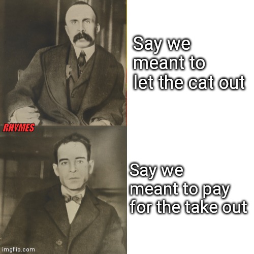 Sacco and Vanzetti Debate a Very Bland Circumstances in Life | Say we meant to let the cat out; RHYMES; Say we meant to pay for the take out | image tagged in did or didn't mean to do x,memes,cat,ct,ordinary | made w/ Imgflip meme maker