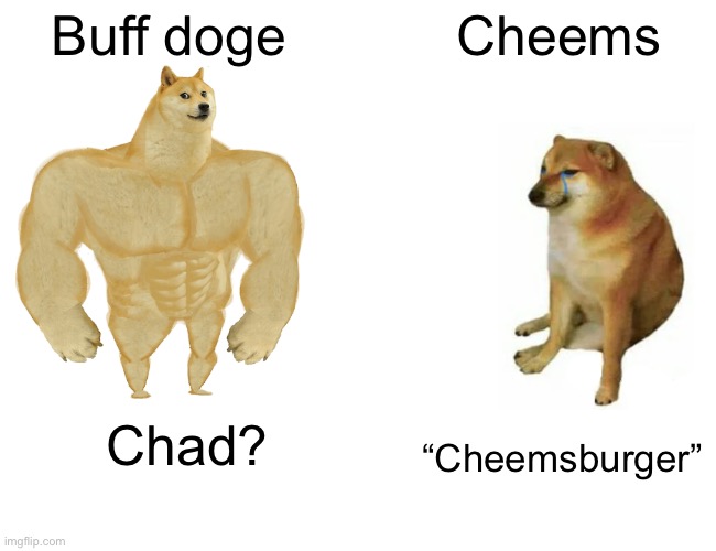 Buff Doge vs. Cheems | Buff doge; Cheems; Chad? “Cheemsburger” | image tagged in memes,buff doge vs cheems | made w/ Imgflip meme maker