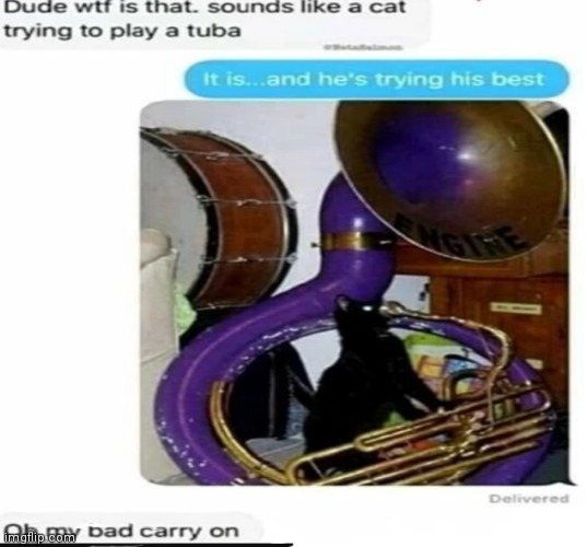 image tagged in memes,cats,tuba | made w/ Imgflip meme maker