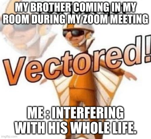 You just got vectored | MY BROTHER COMING IN MY ROOM DURING MY ZOOM MEETING; ME : INTERFERING WITH HIS WHOLE LIFE. | image tagged in you just got vectored | made w/ Imgflip meme maker