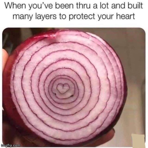 image tagged in memes,onion,layer,heart | made w/ Imgflip meme maker