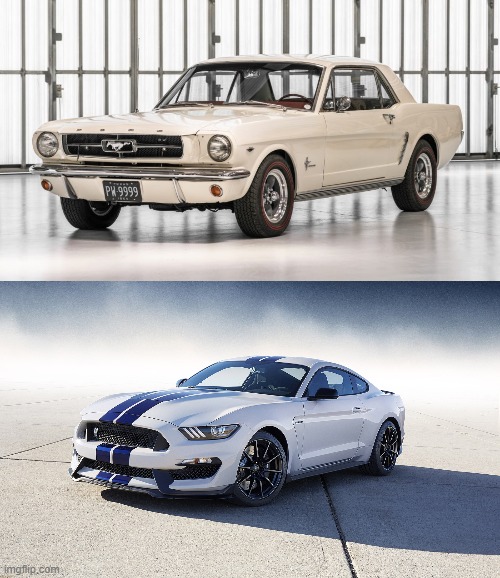who is the real roy | image tagged in 2015 ford mustang gt350 | made w/ Imgflip meme maker