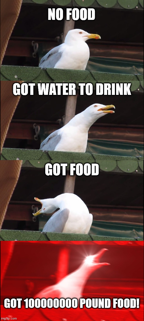 No food to food? | NO FOOD; GOT WATER TO DRINK; GOT FOOD; GOT 100000000 POUND FOOD! | image tagged in memes,inhaling seagull | made w/ Imgflip meme maker