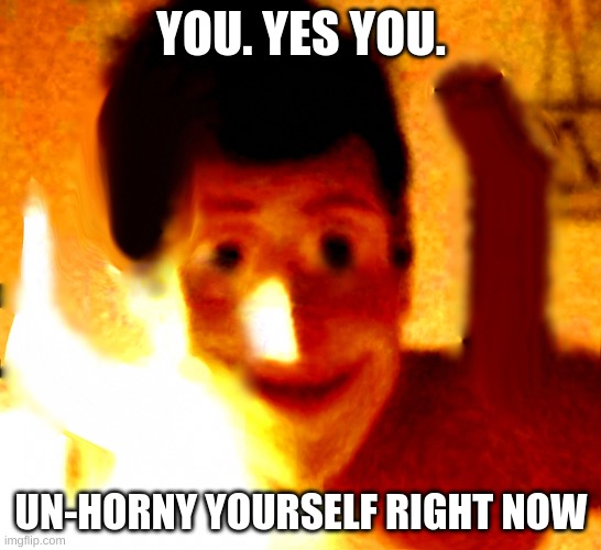 no | YOU. YES YOU. UN-HORNY YOURSELF RIGHT NOW | image tagged in satire,meme,horni | made w/ Imgflip meme maker