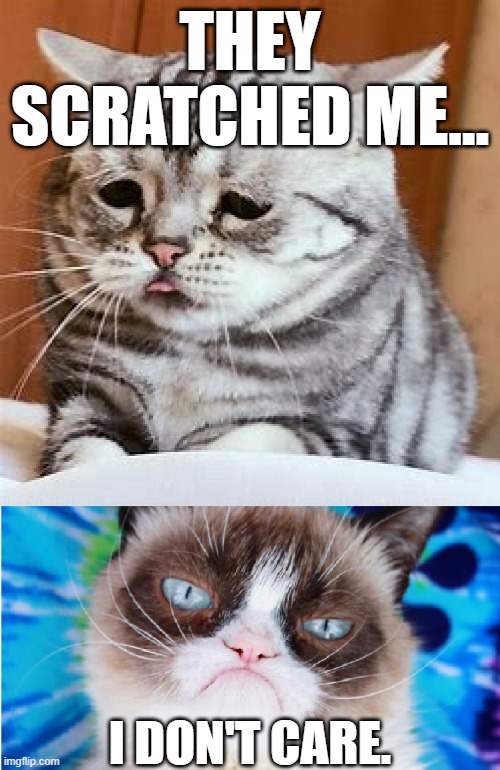 Grumpy doesn't care | THEY SCRATCHED ME... I DON'T CARE. | image tagged in grumpy cat,cat,kitty,meow,no | made w/ Imgflip meme maker