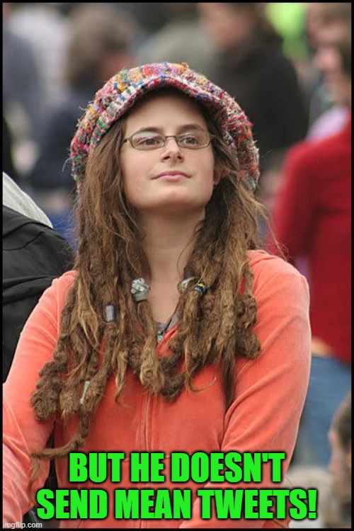 Hippie | BUT HE DOESN'T SEND MEAN TWEETS! | image tagged in hippie | made w/ Imgflip meme maker