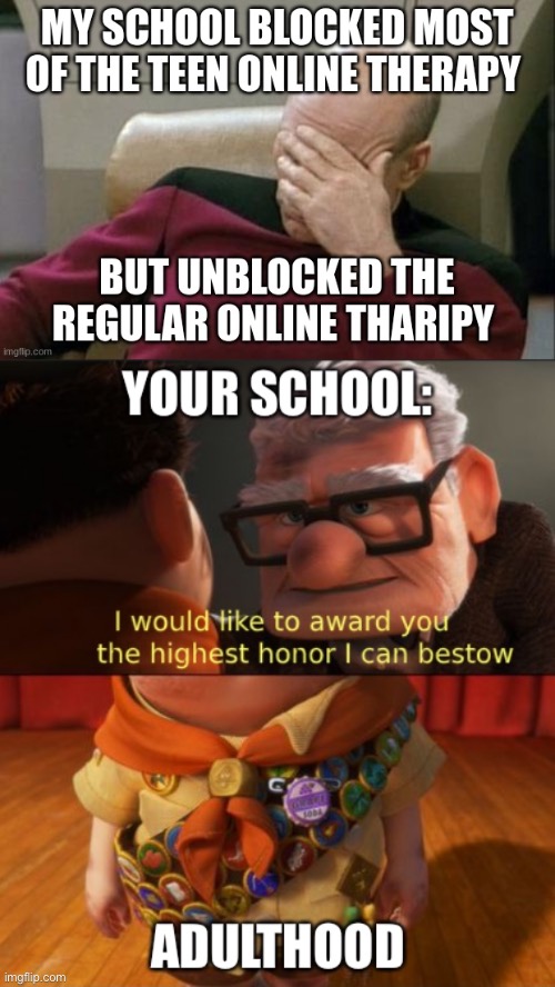 When your school blocks age appropriate and online resources | image tagged in highest honor,adult,therapy,school,websites | made w/ Imgflip meme maker