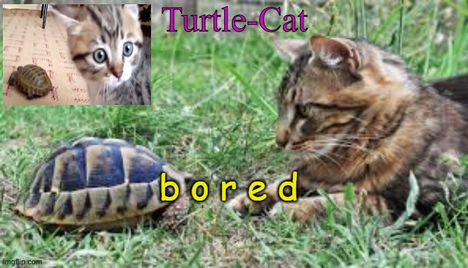 Turtle-Cat announcement template (made by Akifhaziq) | b o r e d | image tagged in turtle-cat announcement template made by akifhaziq | made w/ Imgflip meme maker