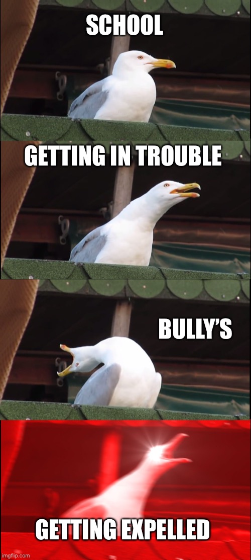 Hmmm | SCHOOL; GETTING IN TROUBLE; BULLY’S; GETTING EXPELLED | image tagged in memes,inhaling seagull | made w/ Imgflip meme maker