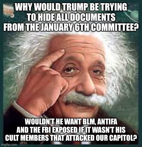AA A eistien einstien | WHY WOULD TRUMP BE TRYING TO HIDE ALL DOCUMENTS FROM THE JANUARY 6TH COMMITTEE? WOULDN’T HE WANT BLM, ANTIFA AND THE FBI EXPOSED IF IT WASN’T HIS CULT MEMBERS THAT ATTACKED OUR CAPITOL? | image tagged in aa a eistien einstien | made w/ Imgflip meme maker